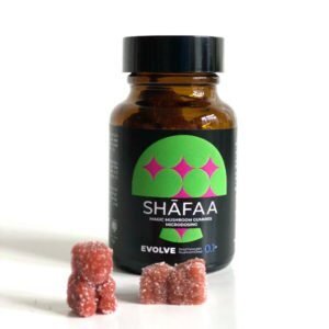 Shafaa-Evolve-Magic-Mushroom-Microdosing-Gummy-Bears-300x300 (1)