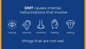 DMT: Facts,Side Effects