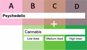 Right Psychedelic Dosage and Usage