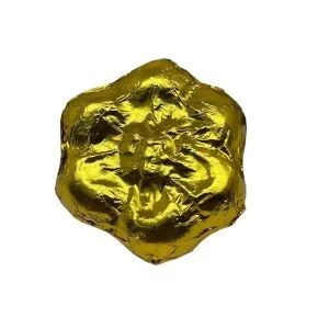 Mushroom Chocolates 1g