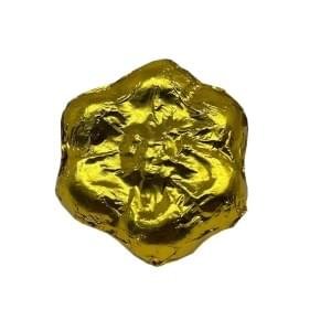 Mushroom Chocolates 1g