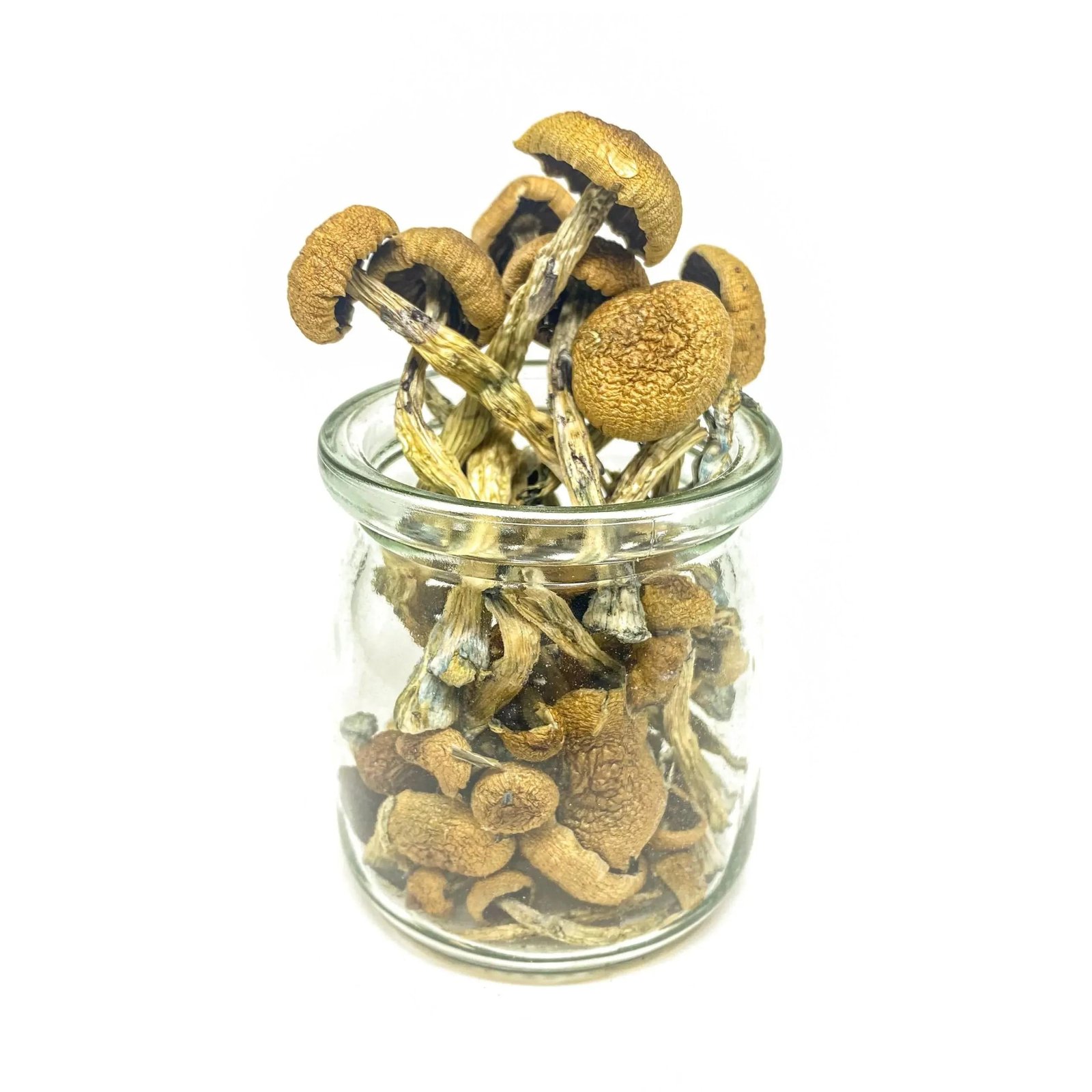 Texas Penis Envy (Live Psilocybin)