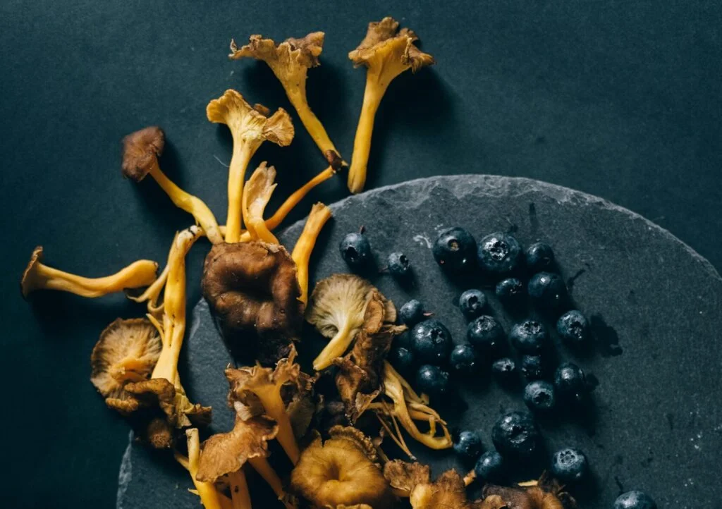 Blue Meanie Mushrooms